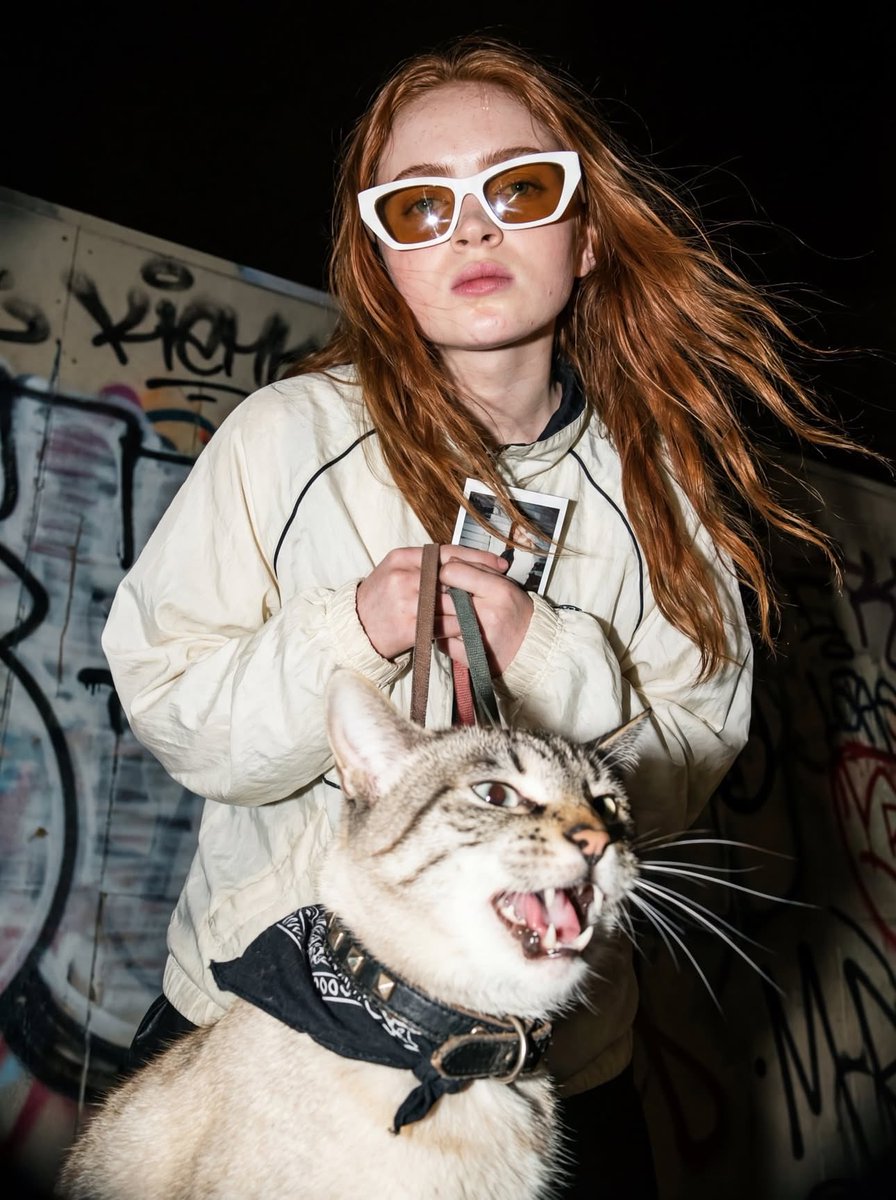 猫咪人像摄影:前卫闪光灯风格