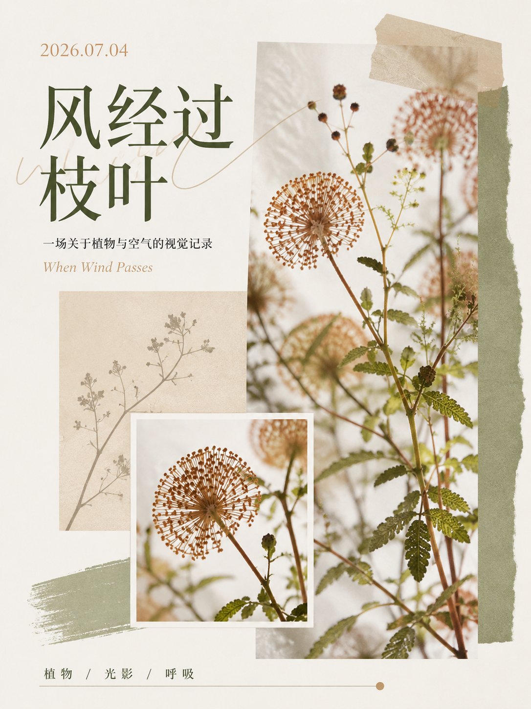 高级审美植物艺术海报 2