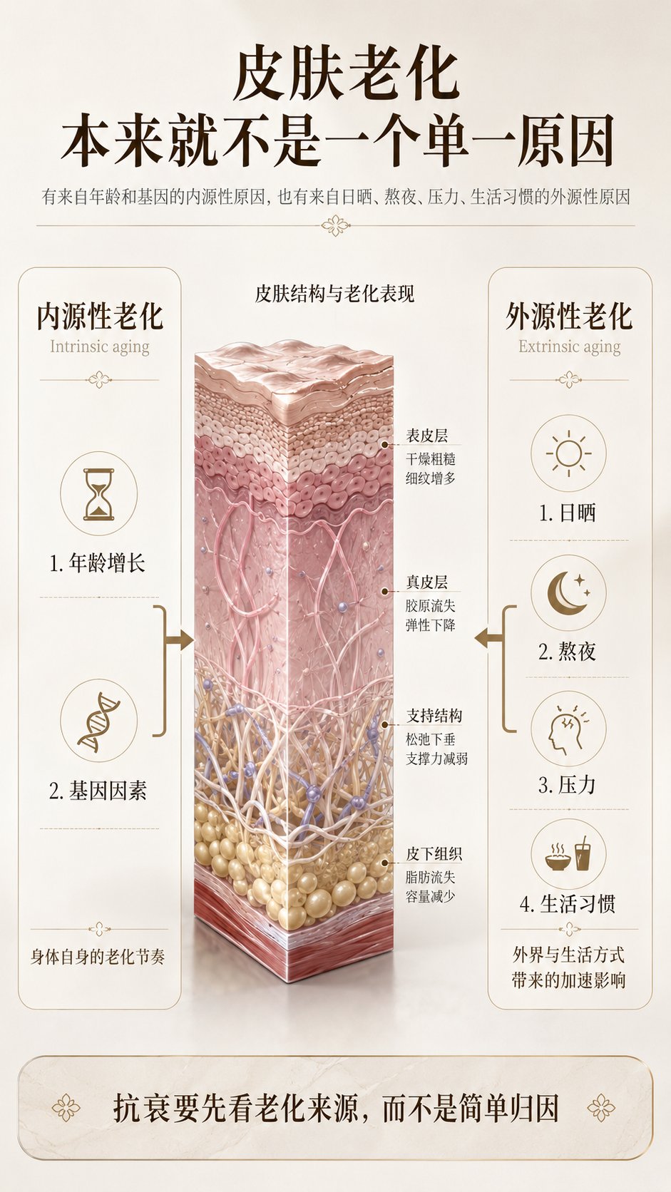 眼周护理分阶段胶原支撑科普配图