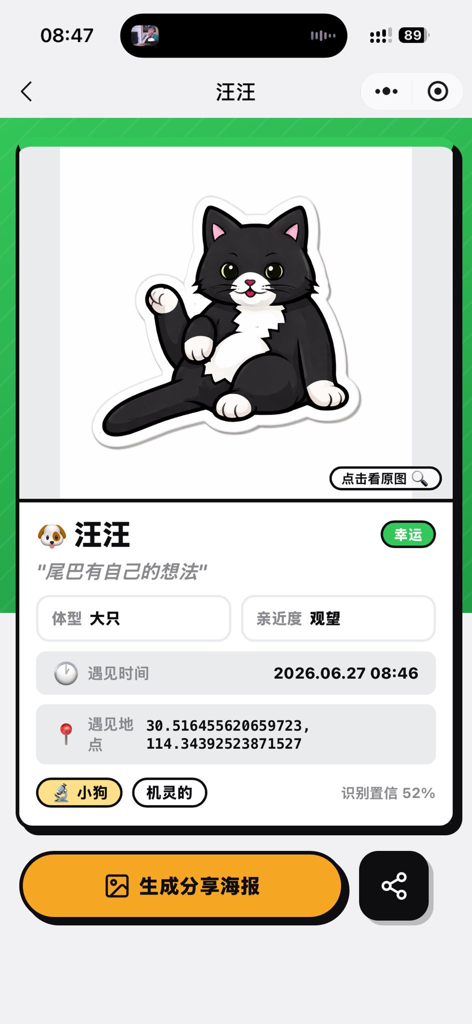 猫咪识别结果页面
