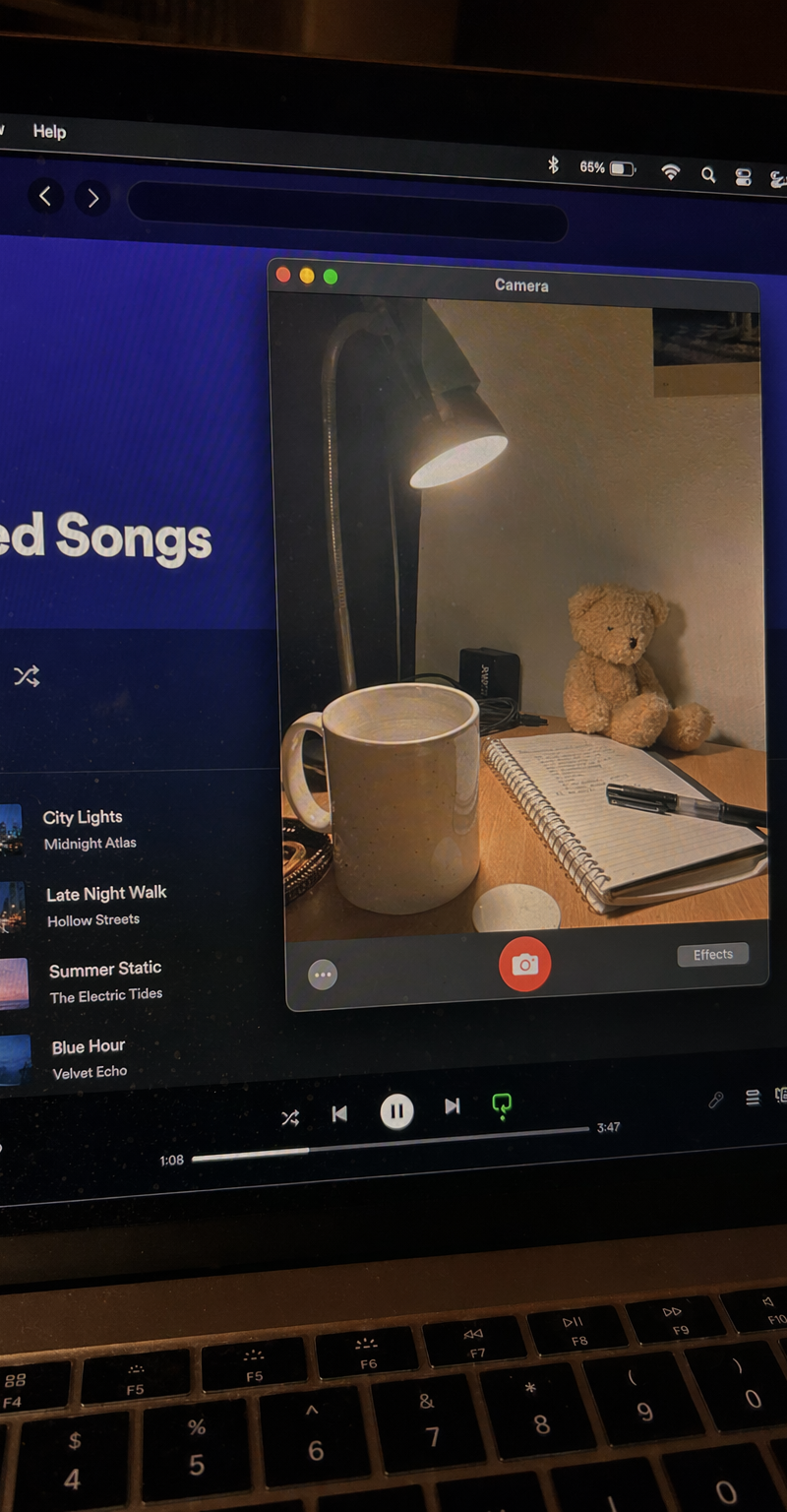 Music app + webcam preview
