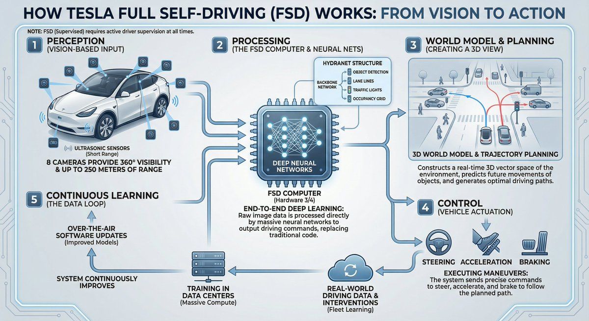 Tesla FSD 信息图解