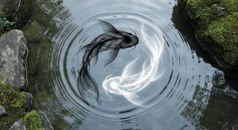 阴阳锦鲤水墨插画