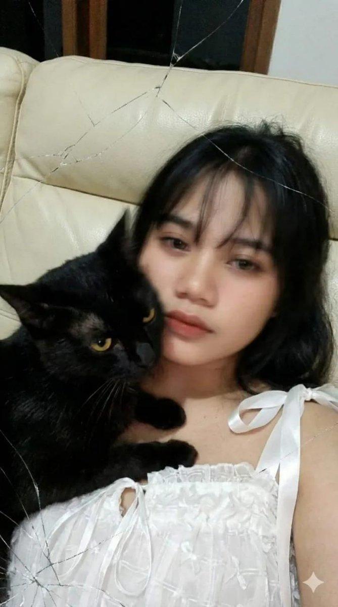 低分辨率动态模糊猫咪自拍