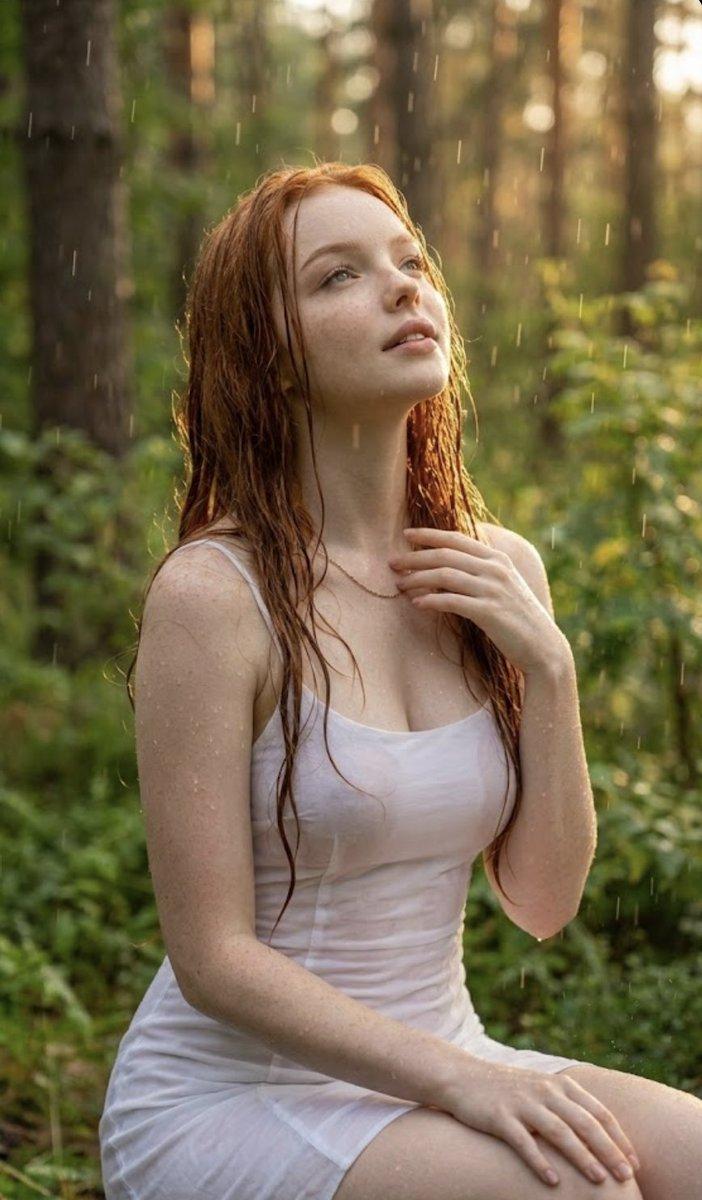 金色时分，雨林诗意肖像