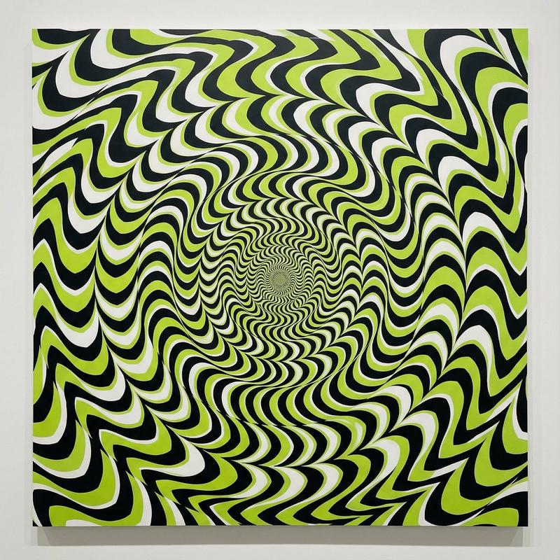 动态错觉的光学幻象