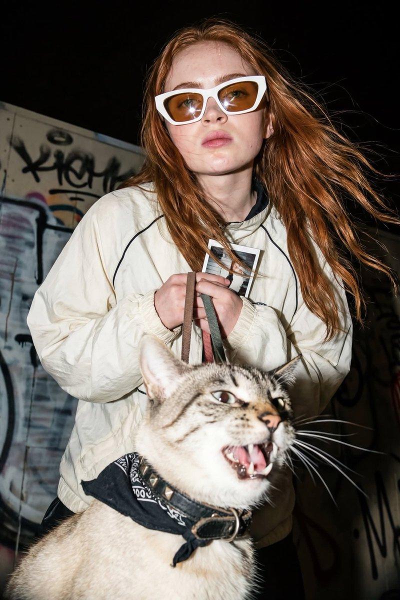 猫咪人像摄影:前卫闪光灯风格