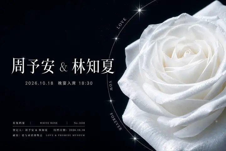 星象档案感康乃馨花束海报