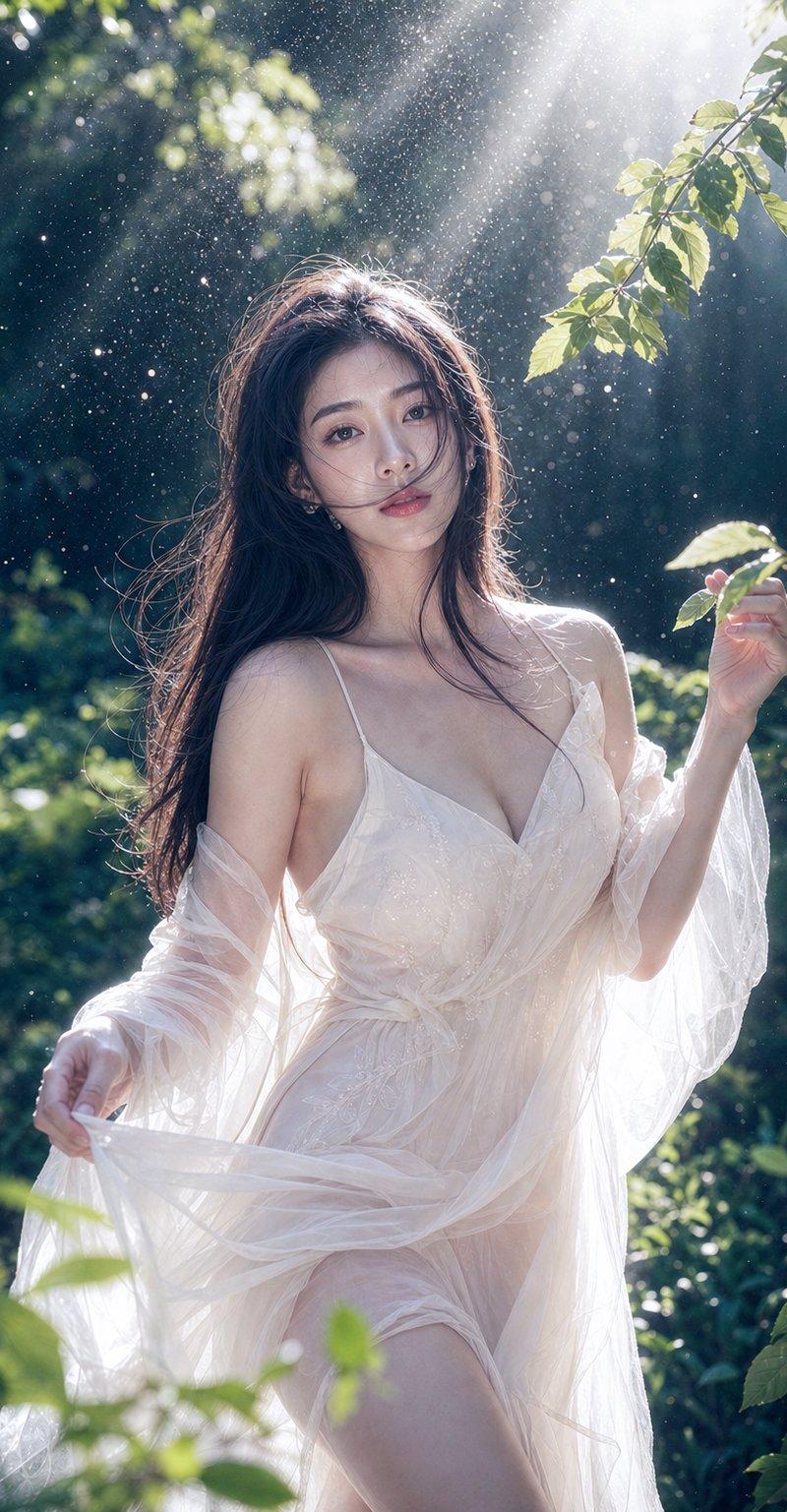 森林丁达尔光影夏日写真