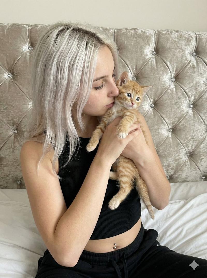 温柔少女亲吻橘猫的治愈系卧室写真
