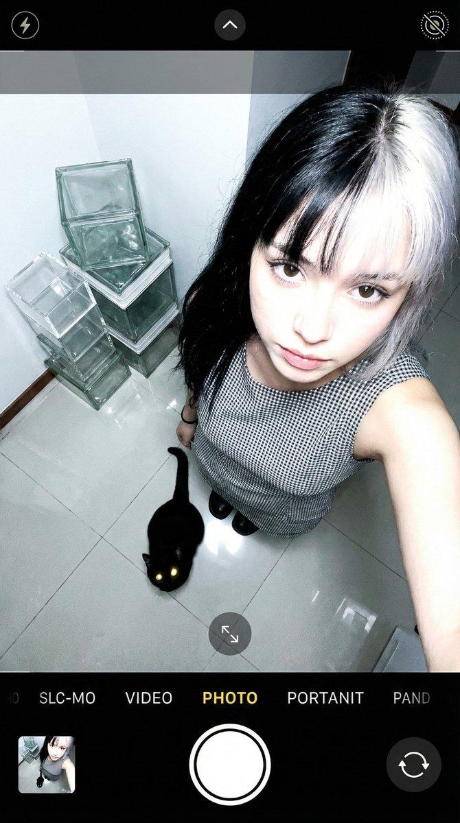 俯拍视角下与黑猫互动的青春少女