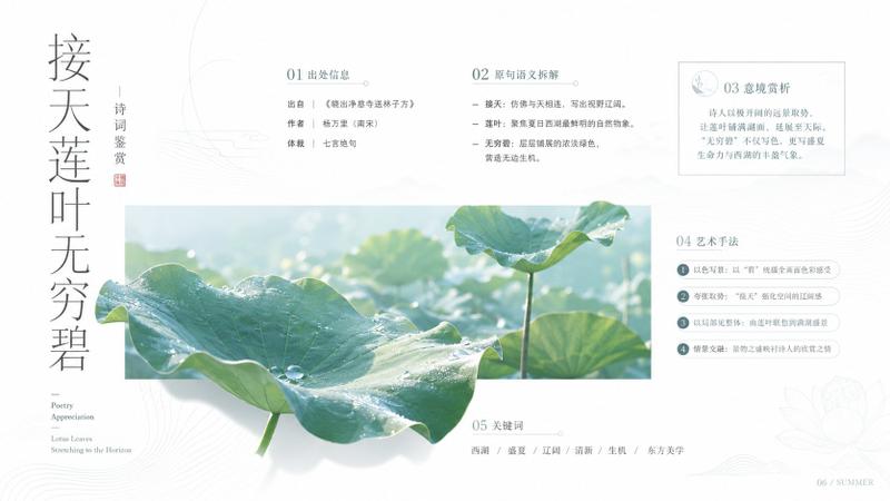 极简商业美学接天莲叶无穷碧海报