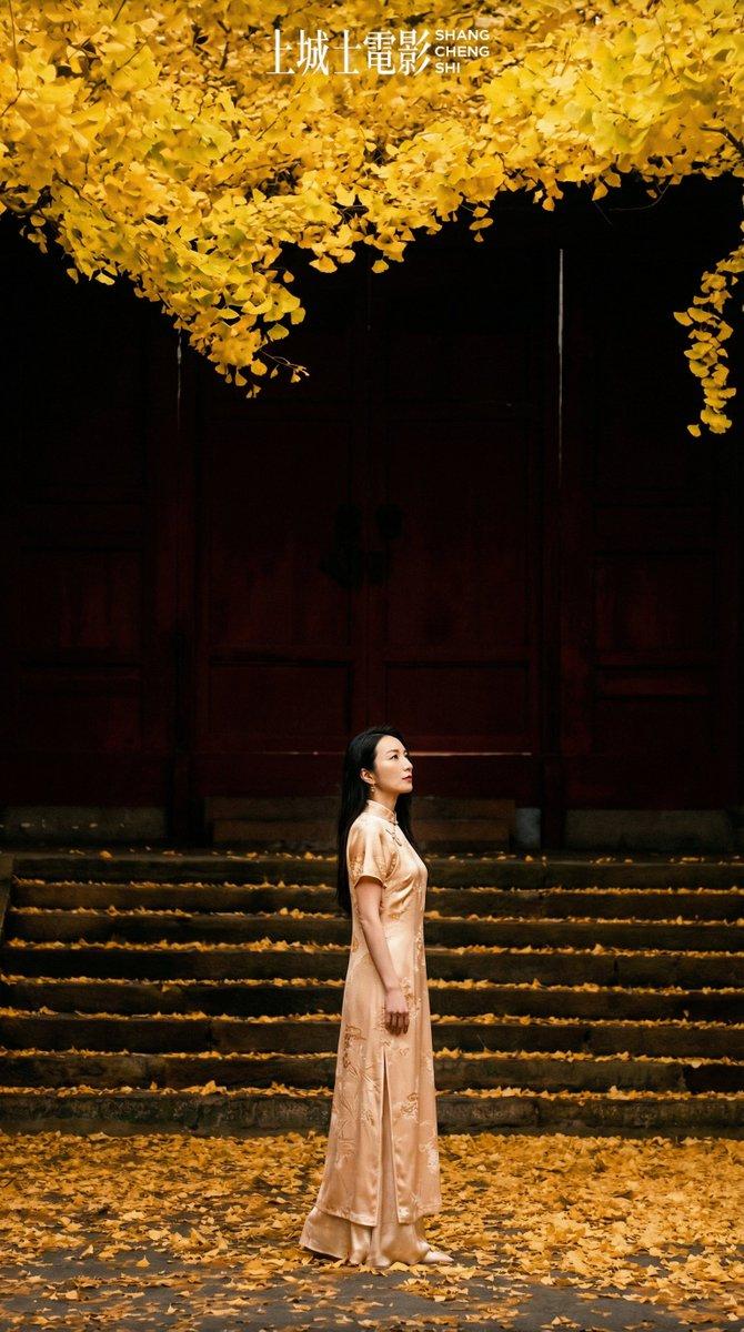 新中式银杏古建光影里的东方美学大片