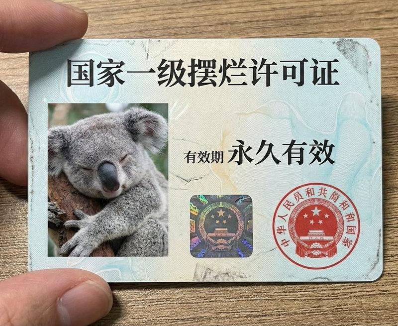 国家一级摆烂许可证