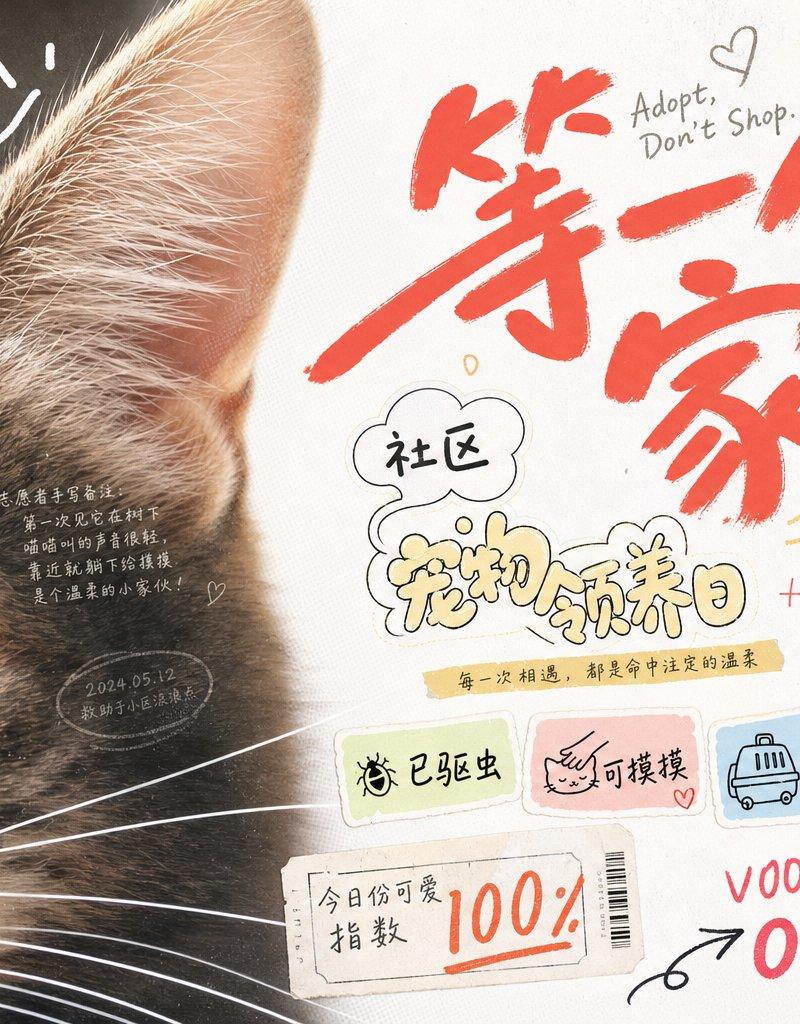 街舞社团拼贴风视觉图像