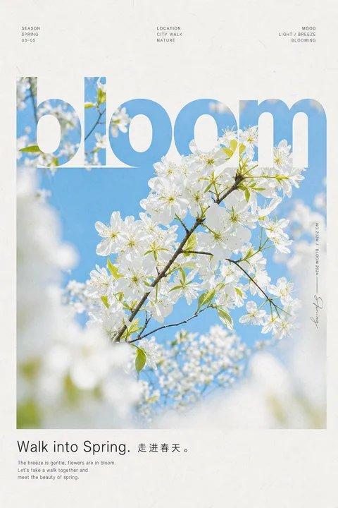 清透克制艺术杂志风春日白花海报