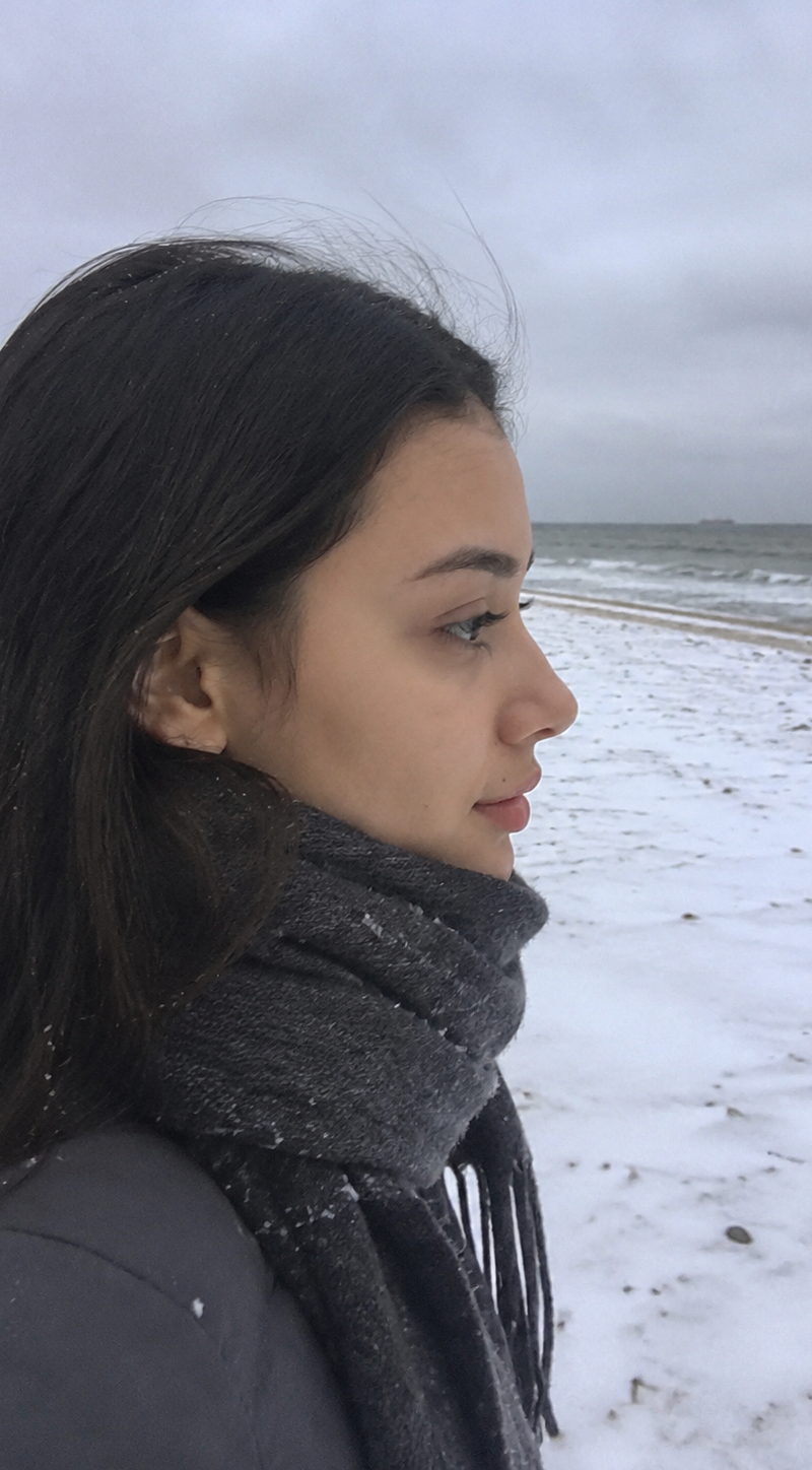 A low-quality photo that looks like it was taken by an amateur: a side-profile c