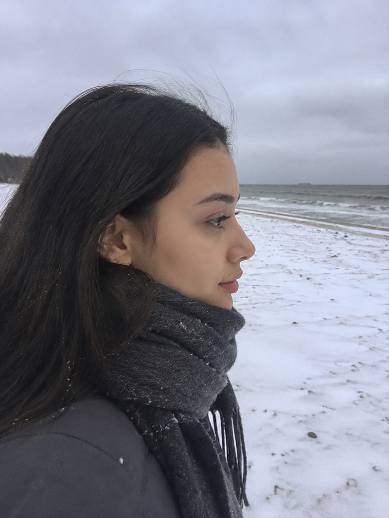 A low-quality photo that looks like it was taken by an amateur: a side-profile c