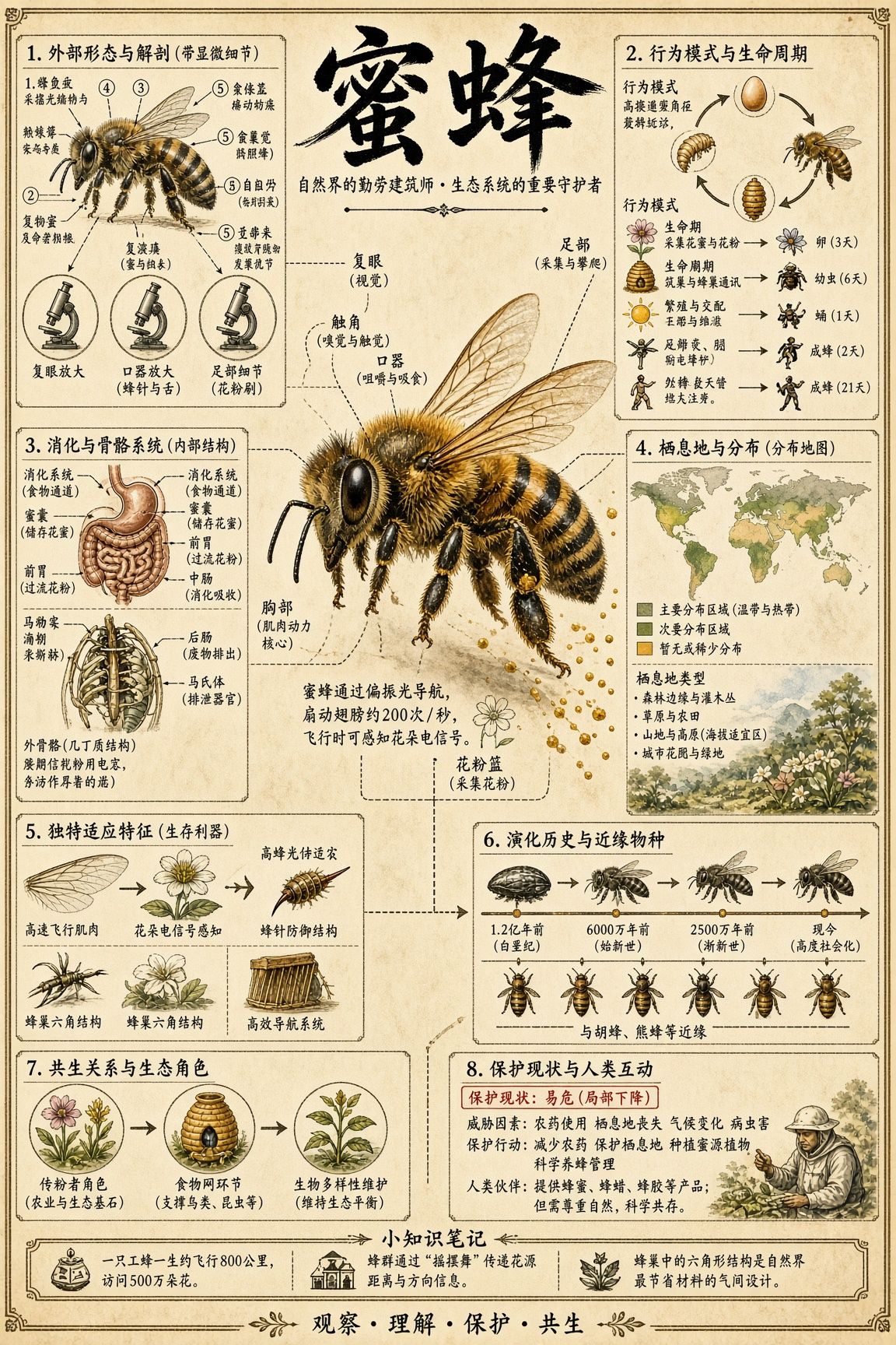 Grok Image2 超高密度信息图汉字大部分是ok的，生成速度上是比GPT Image2 快一点, 整体差距非常小了，不过貌似grok是1k...