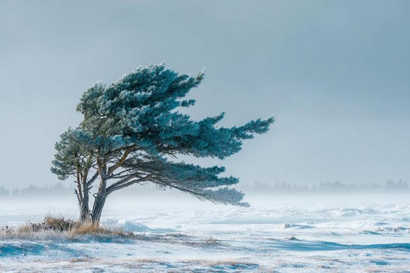 冰冻苔原的雄伟
