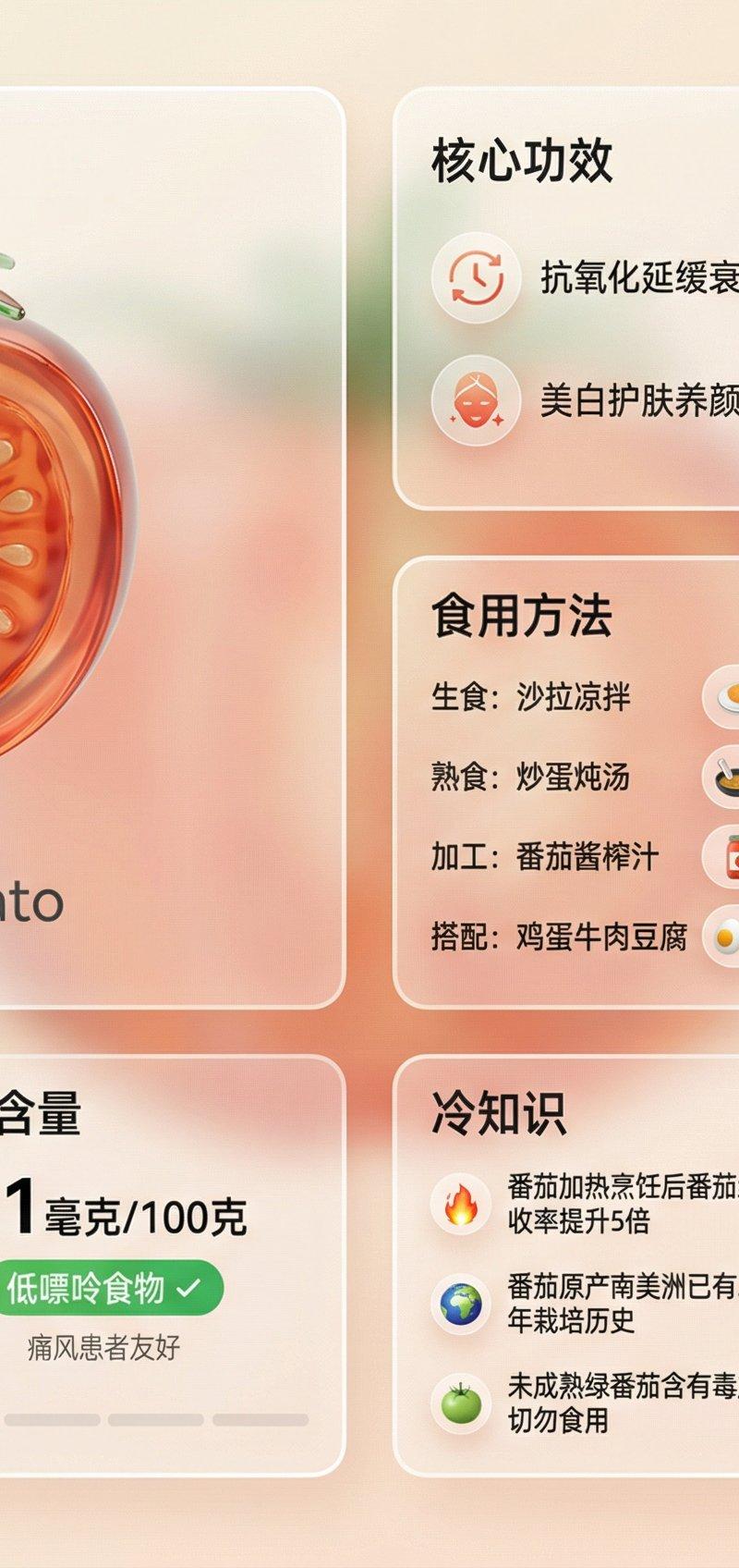 现代Bento网格布局产品展示设计
