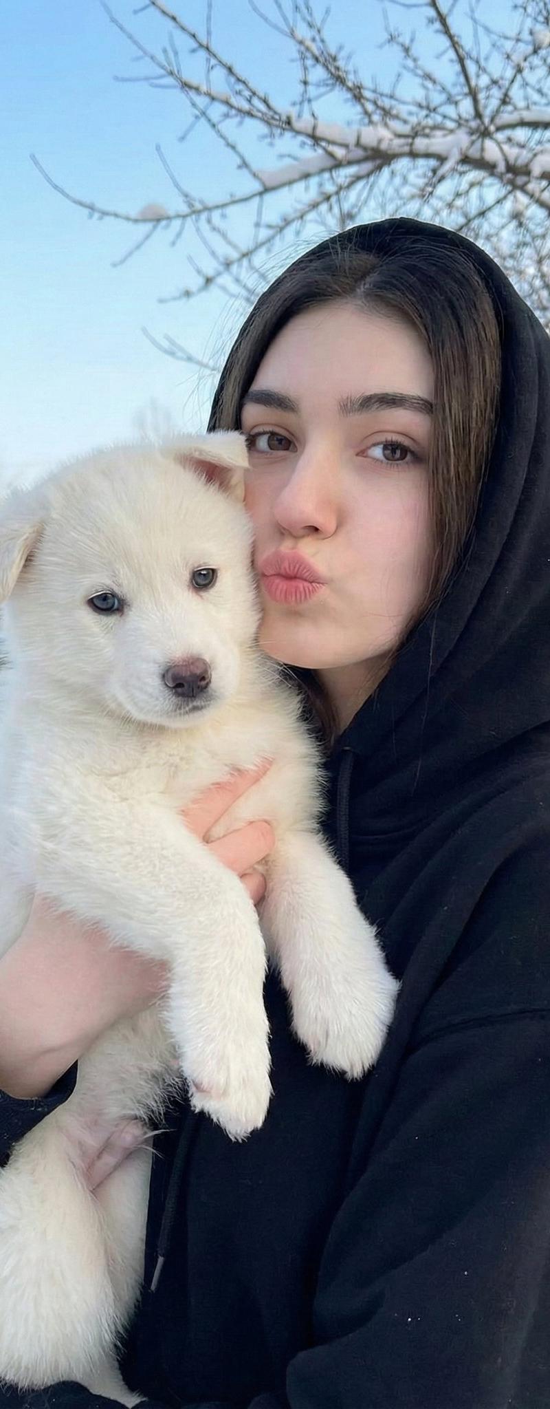 雪地中与幼犬的肖像