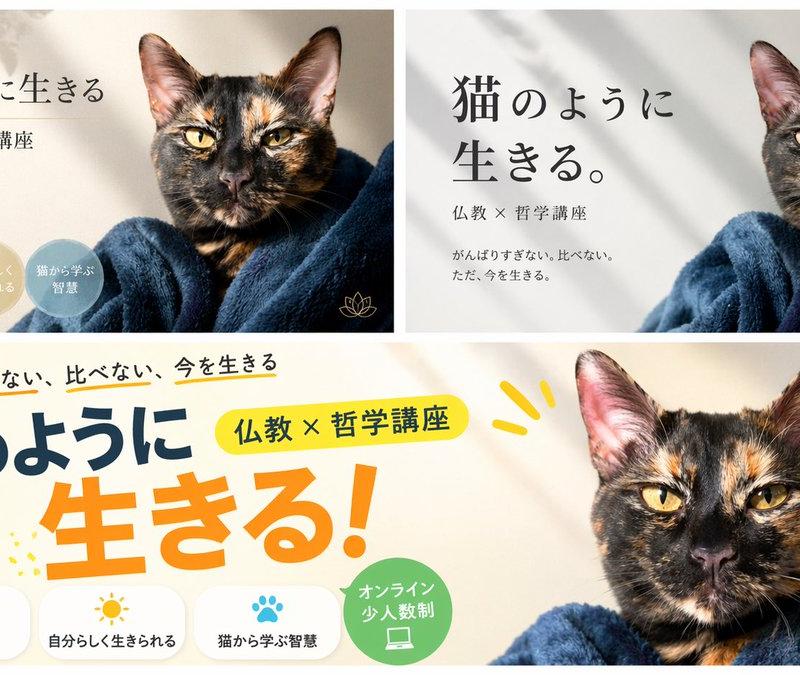 横幅设计变体布局