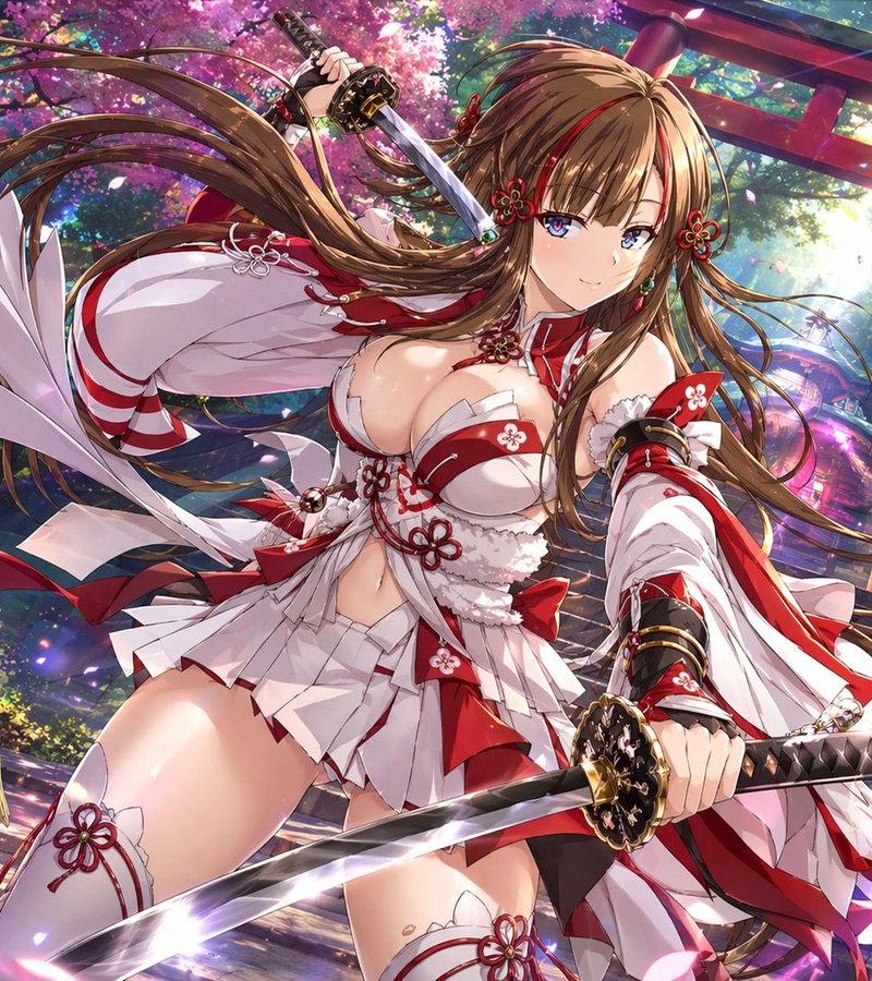 动漫巫女双刀流