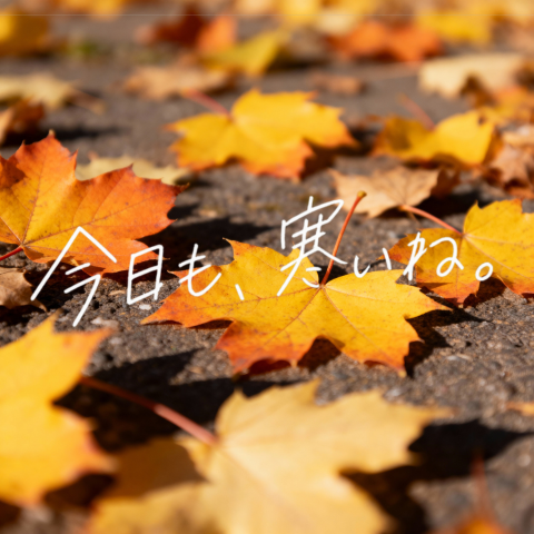 带有手写日语文字的秋叶