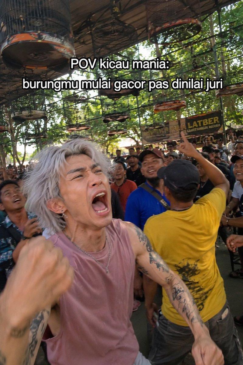 Candid Bird Contest Meme Photo