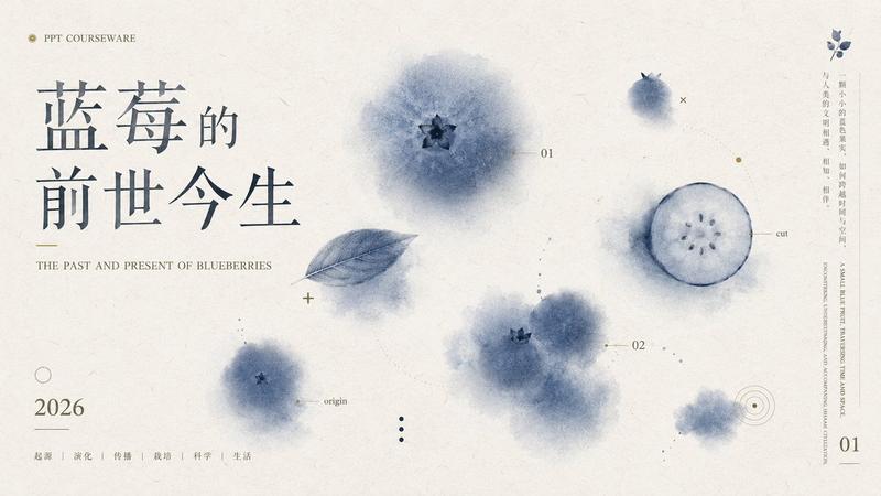 蓝莓课件封面 Slides