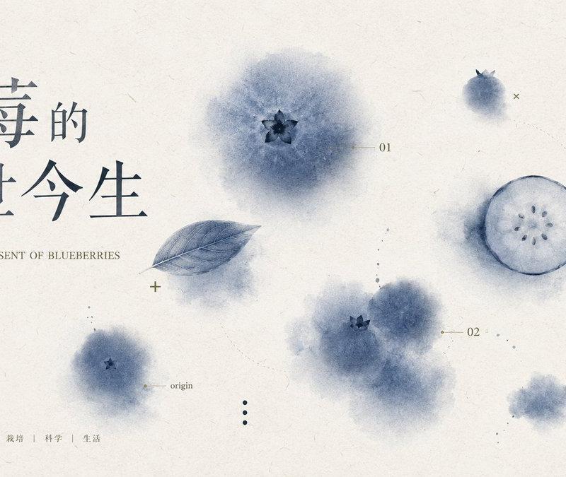 蓝莓课件封面 Slides