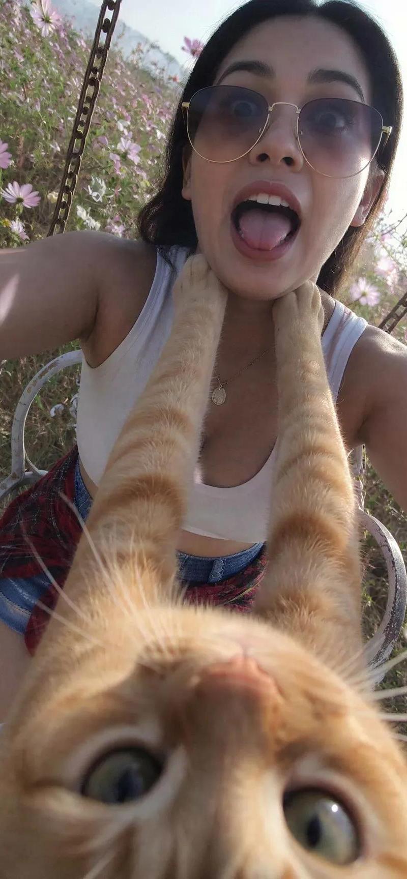 搞笑猫咪 POV 自拍