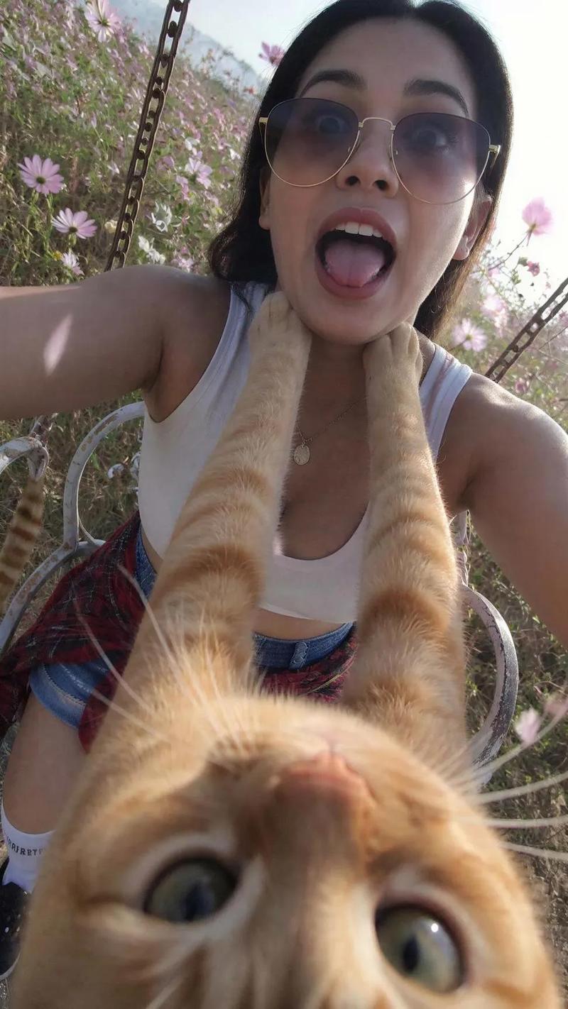 搞笑猫咪 POV 自拍