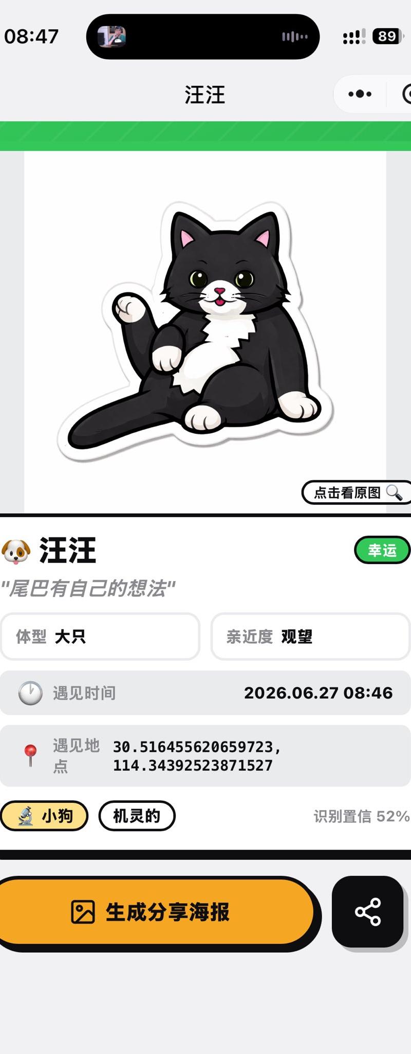 猫咪识别结果页面