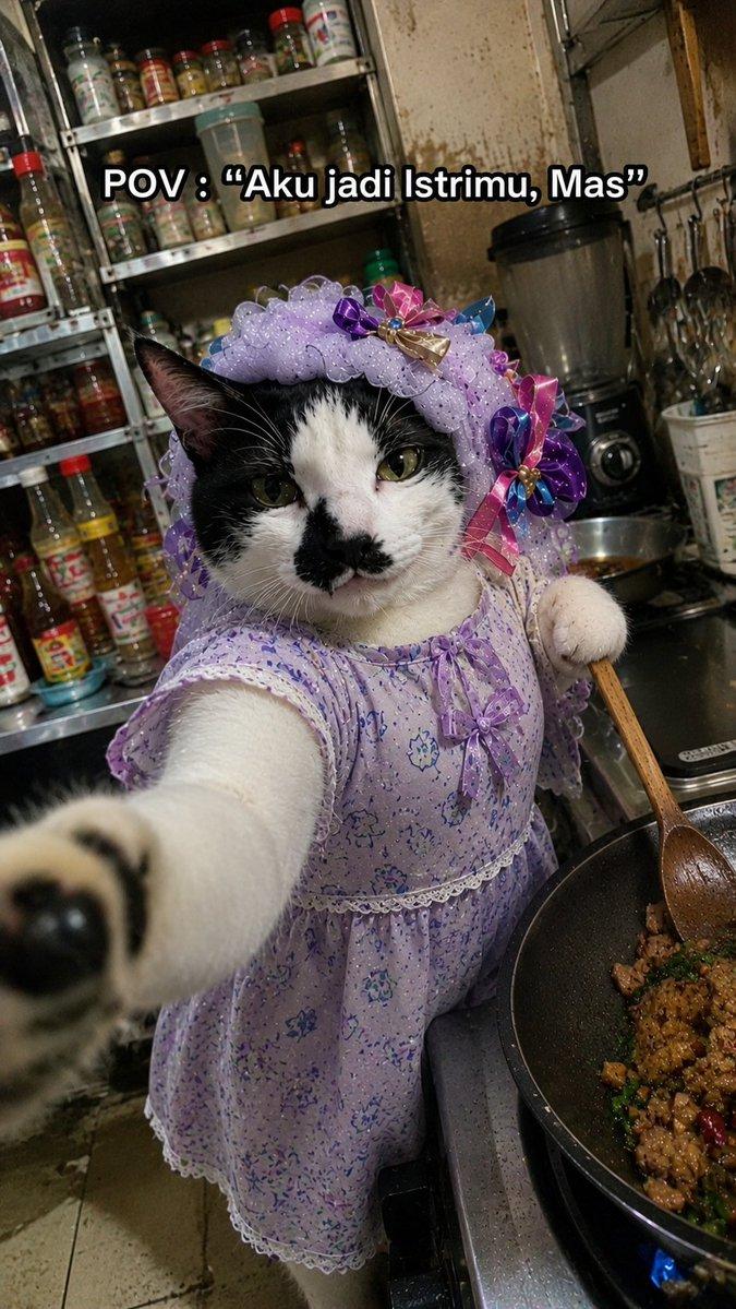 猫咪妻子做饭梗图