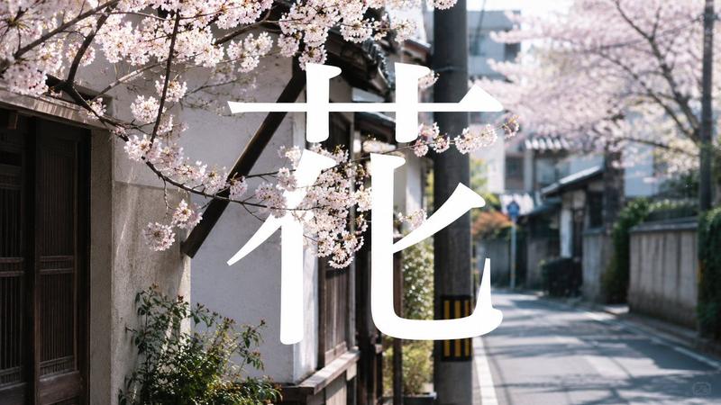 樱花街道汉字海报