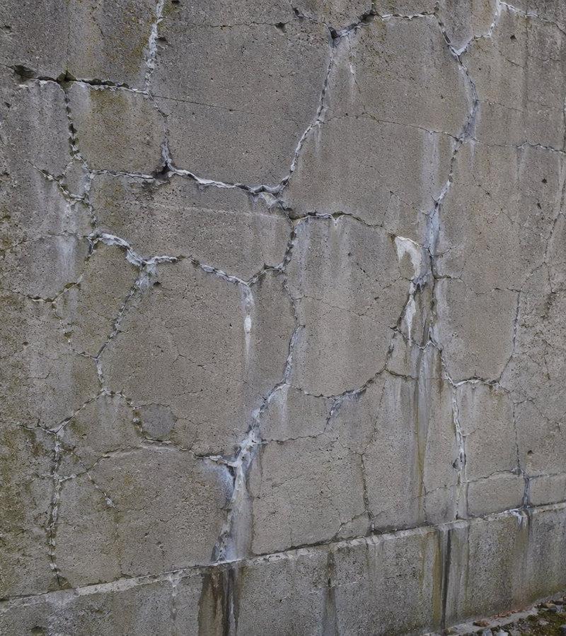 带有 ASR 地图状裂缝的混凝土墙