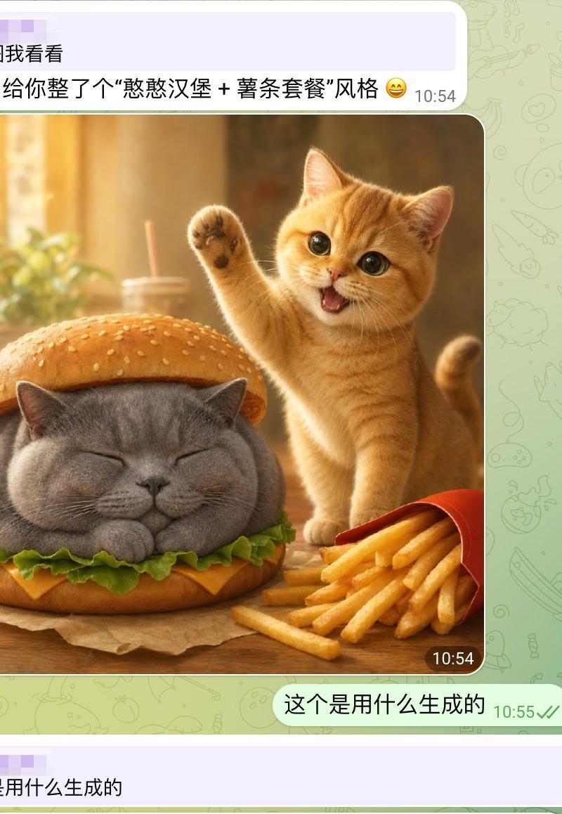 可爱猫咪汉堡聊天截图