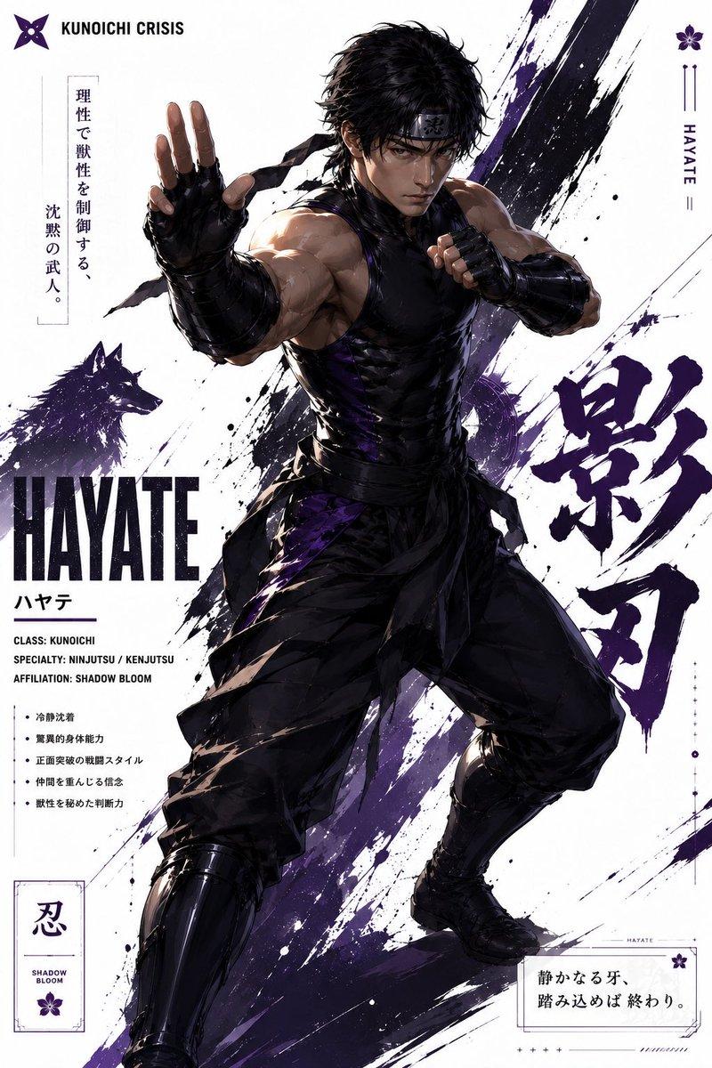 Hayate 忍者角色海报
