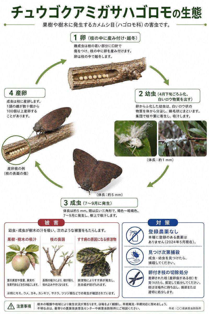 日本害虫生命周期信息图