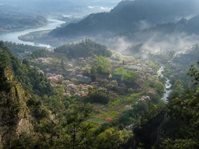 烟雨春山村