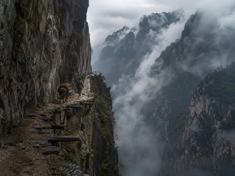迷雾悬崖骡道