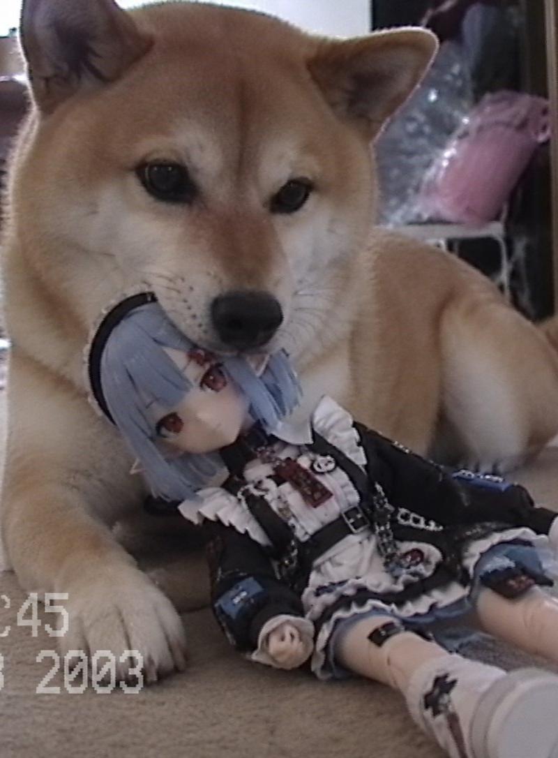 Nostalgic Home Video Doll Effect