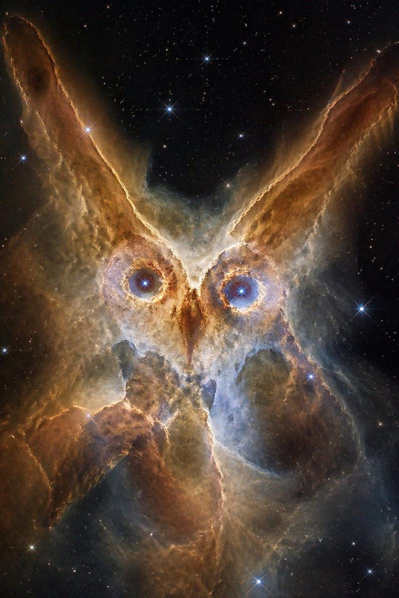深空中的猫头鹰星云