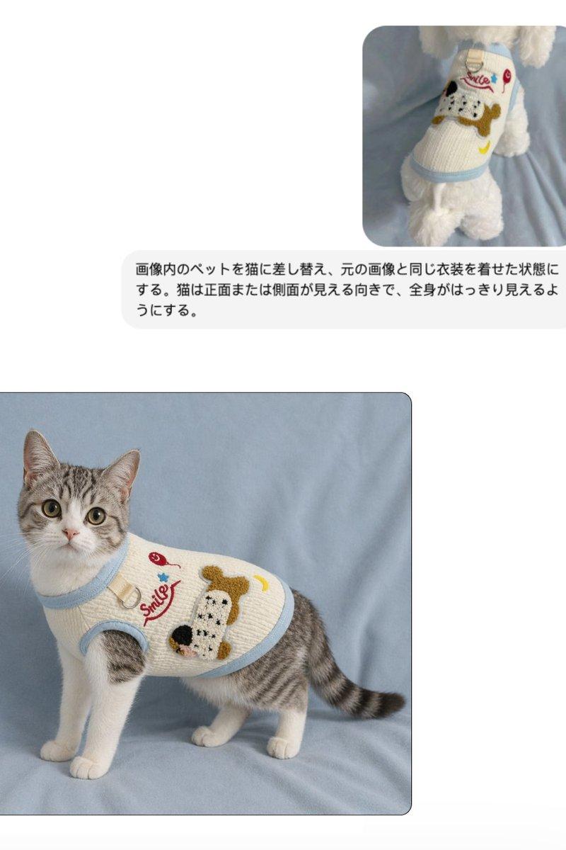 宠物服装替换效果图