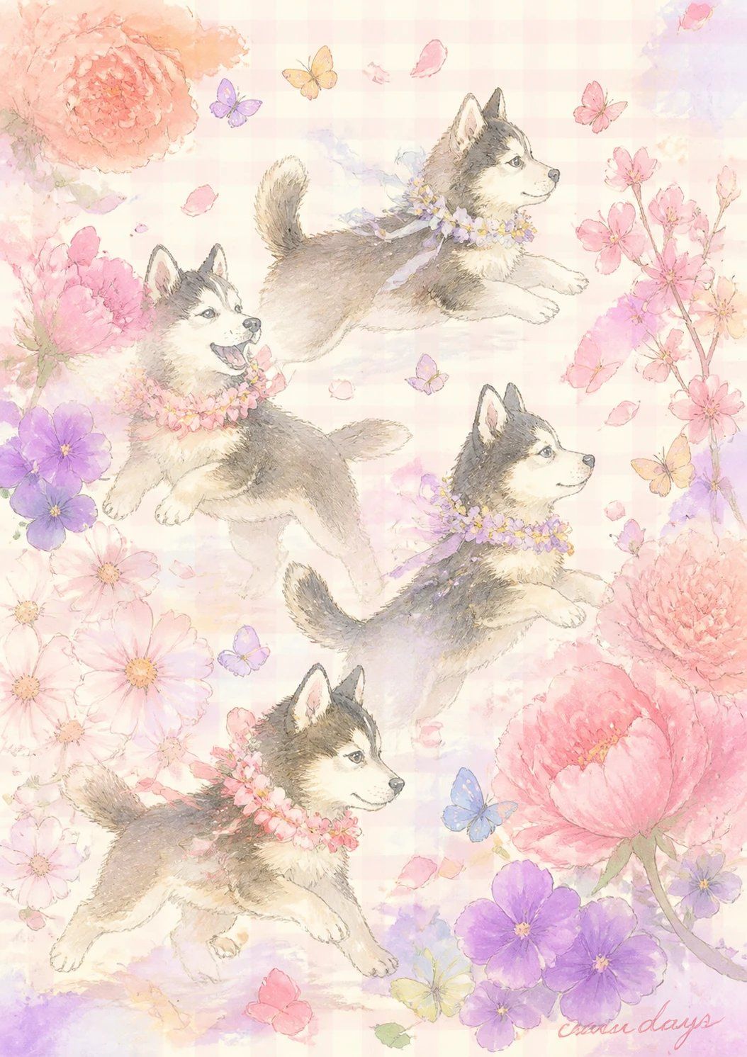 柔和色调哈士奇幼犬花海