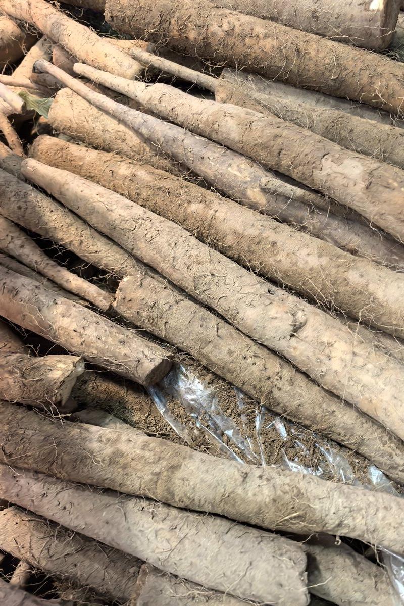 山药产品包装设计提示词